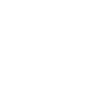 WZD